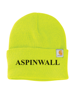 Carhartt - Watch Cap 2.0